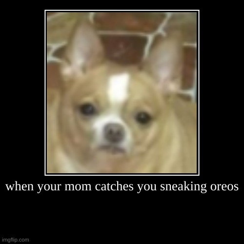 oreo dog | image tagged in demotivationals | made w/ Imgflip demotivational maker