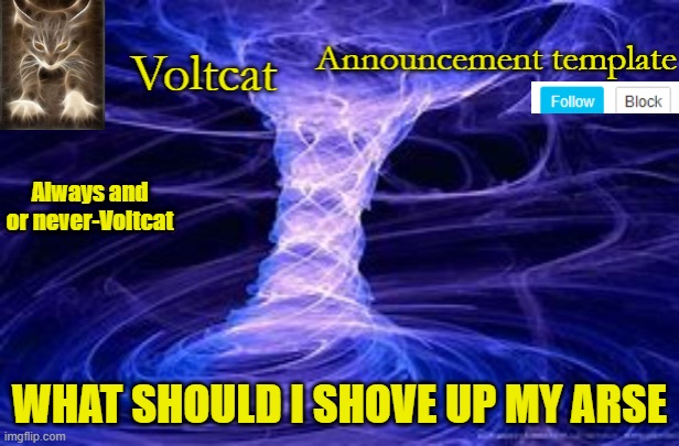 hmm any suggestions | WHAT SHOULD I SHOVE UP MY ARSE | image tagged in new volcat announcment template | made w/ Imgflip meme maker