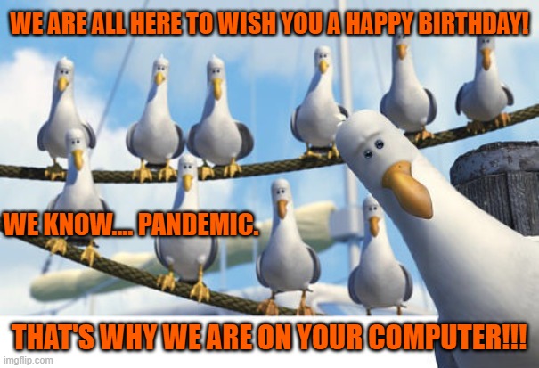Finding Nemo Seagulls | WE ARE ALL HERE TO WISH YOU A HAPPY BIRTHDAY! WE KNOW.... PANDEMIC. THAT'S WHY WE ARE ON YOUR COMPUTER!!! | image tagged in finding nemo seagulls | made w/ Imgflip meme maker