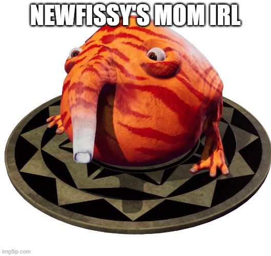 NewFissy's Mom IRL | NEWFISSY'S MOM IRL | image tagged in yo mamas so fat | made w/ Imgflip meme maker