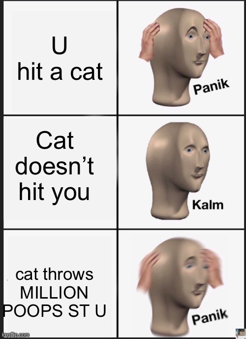 Cat is pooping | U hit a cat; Cat doesn’t hit you; cat throws MILLION POOPS ST U | image tagged in memes,panik kalm panik,cats | made w/ Imgflip meme maker