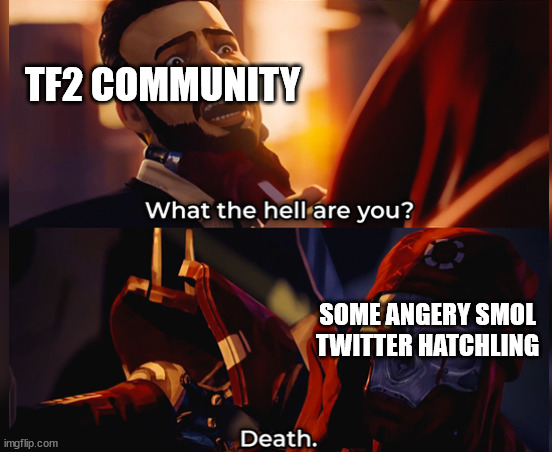 What the hell are you? Death | TF2 COMMUNITY; SOME ANGERY SMOL TWITTER HATCHLING | image tagged in what the hell are you death | made w/ Imgflip meme maker