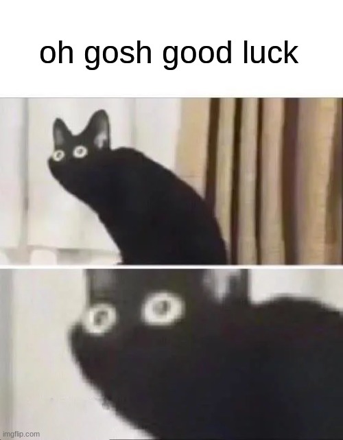 Oh No Black Cat | oh gosh good luck | image tagged in oh no black cat | made w/ Imgflip meme maker