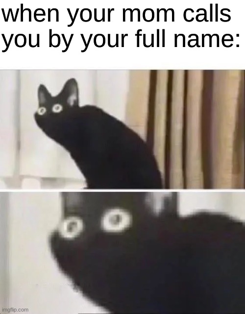 Oh No Black Cat | when your mom calls you by your full name: | image tagged in oh no black cat | made w/ Imgflip meme maker