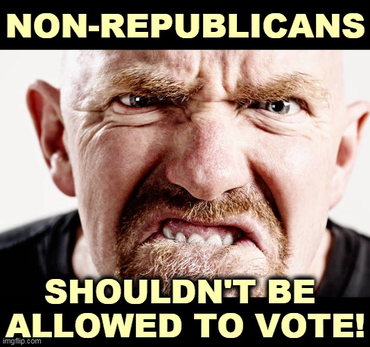 Thus democracy dies and fascism is born. | NON-REPUBLICANS; SHOULDN'T BE 
ALLOWED TO VOTE! | image tagged in gop,republican,fascism | made w/ Imgflip meme maker