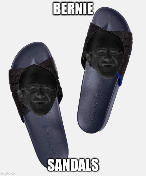 Bernie Sandals | BERNIE; SANDALS | image tagged in bernie sandals,meme,bernie | made w/ Imgflip meme maker