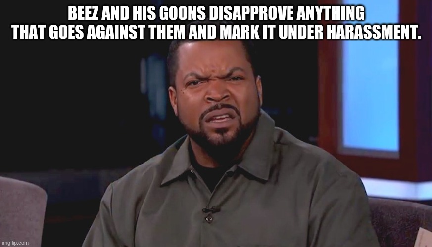 Thats just straight up wrong | BEEZ AND HIS GOONS DISAPPROVE ANYTHING THAT GOES AGAINST THEM AND MARK IT UNDER HARASSMENT. | image tagged in really ice cube | made w/ Imgflip meme maker