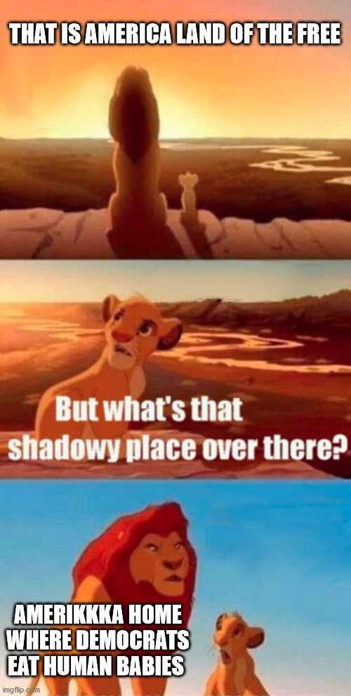 Simba Shadowy Place | THAT IS AMERICA LAND OF THE FREE; AMERIKKKA HOME WHERE DEMOCRATS EAT HUMAN BABIES | image tagged in memes,simba shadowy place | made w/ Imgflip meme maker