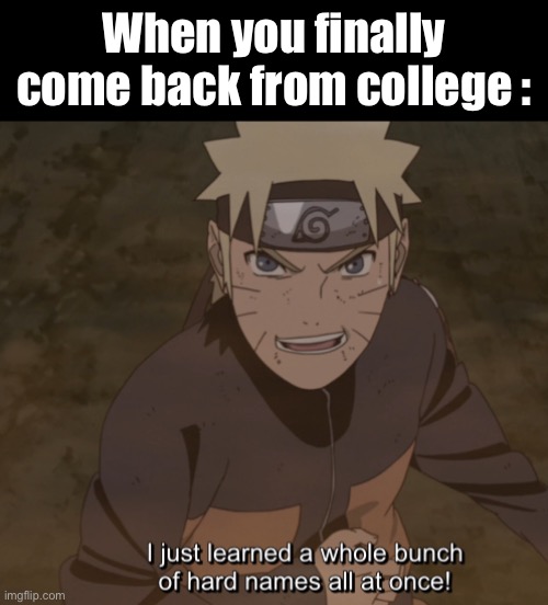 ‘Big College Guy’ | When you finally come back from college : | image tagged in naruto,college,naruto meme,memes,university,anime meme | made w/ Imgflip meme maker