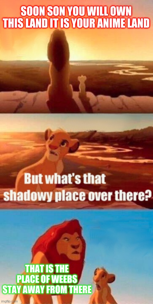 ... | SOON SON YOU WILL OWN THIS LAND IT IS YOUR ANIME LAND; THAT IS THE PLACE OF WEEBS STAY AWAY FROM THERE | image tagged in memes,simba shadowy place | made w/ Imgflip meme maker