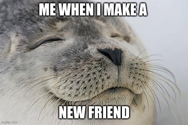 Satisfied Seal Meme | ME WHEN I MAKE A NEW FRIEND | image tagged in memes,satisfied seal | made w/ Imgflip meme maker