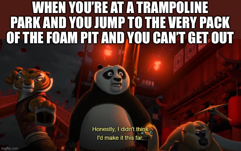 I almost died this way a few weeks ago | WHEN YOU’RE AT A TRAMPOLINE PARK AND YOU JUMP TO THE VERY PACK OF THE FOAM PIT AND YOU CAN’T GET OUT | image tagged in honestly i didn't think i'd get this far - kung fu panda | made w/ Imgflip meme maker