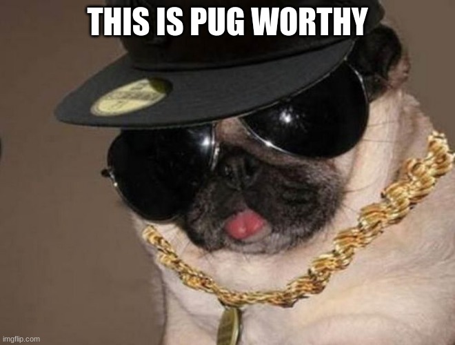 Gangster Pug | THIS IS PUG WORTHY | image tagged in gangster pug | made w/ Imgflip meme maker