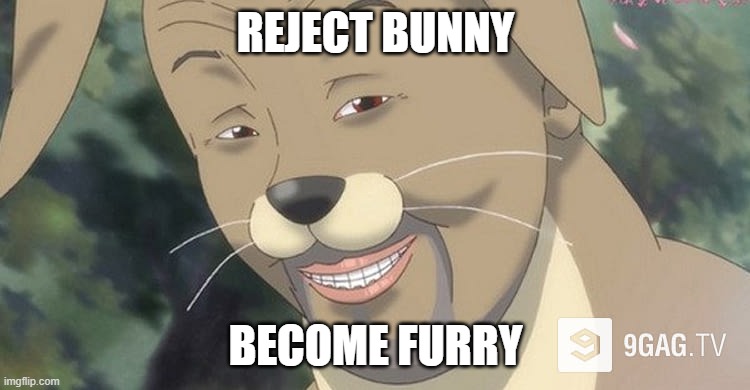 Reject Bunny Become Furry | REJECT BUNNY; BECOME FURRY | image tagged in weird anime hentai furry,evolution | made w/ Imgflip meme maker