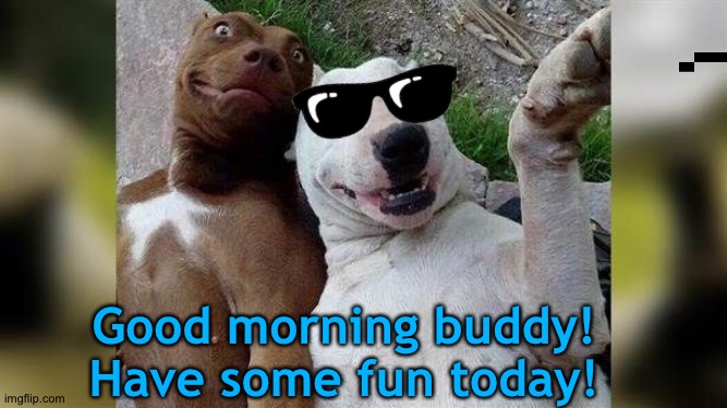 Good morning buddy! 
Have some fun today! | made w/ Imgflip meme maker