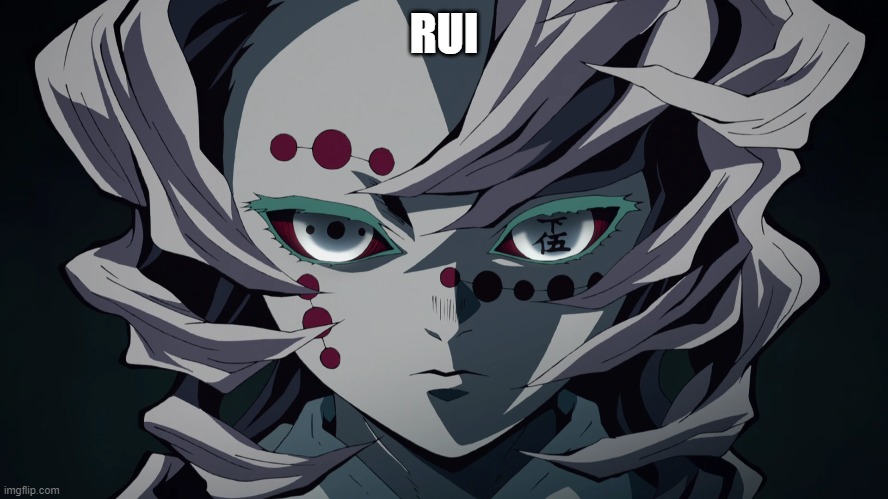 RUI | made w/ Imgflip meme maker