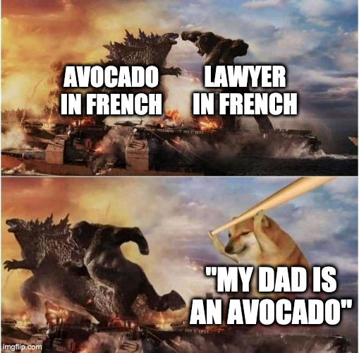aVoCaT | LAWYER IN FRENCH; AVOCADO IN FRENCH; "MY DAD IS AN AVOCADO" | image tagged in kong godzilla doge | made w/ Imgflip meme maker
