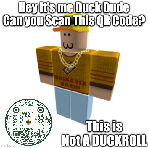 Duck Trolled Says to Scan The QR code | Hey it's me Duck Dude Can you Scan This QR Code? This is Not A DUCKROLL | image tagged in ducktrolled2 | made w/ Imgflip meme maker