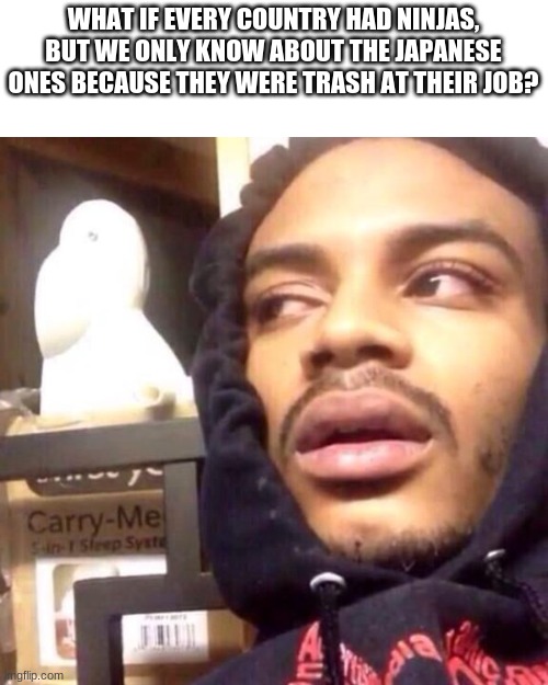 Shower thought. | WHAT IF EVERY COUNTRY HAD NINJAS, BUT WE ONLY KNOW ABOUT THE JAPANESE ONES BECAUSE THEY WERE TRASH AT THEIR JOB? | image tagged in coffee enema high thoughts | made w/ Imgflip meme maker