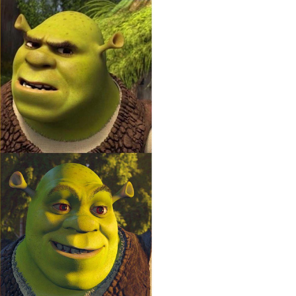 Shrek no - yes (drake format) Blank Meme Template