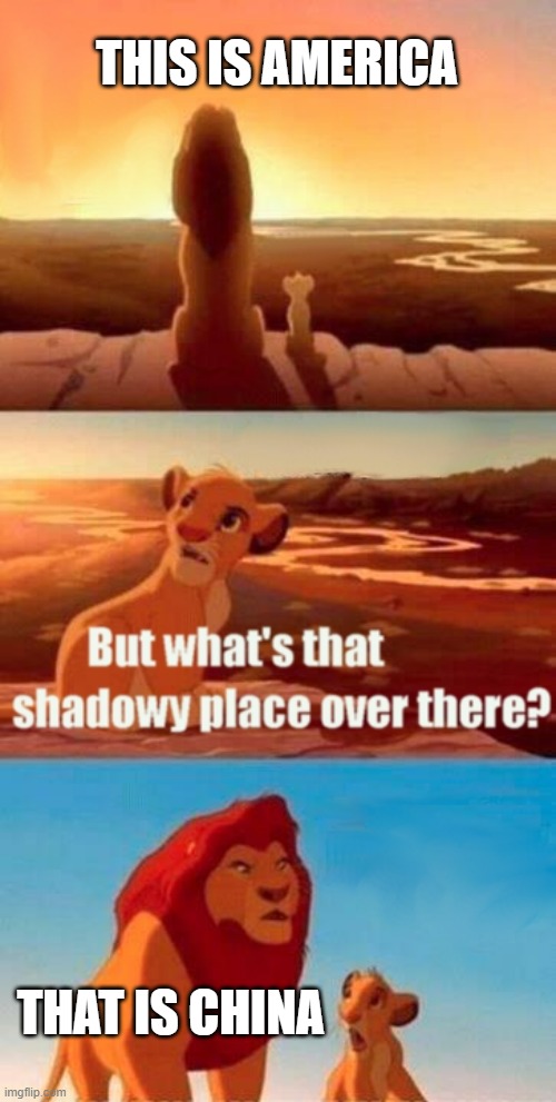 China EVILLLL | THIS IS AMERICA; THAT IS CHINA | image tagged in memes,simba shadowy place,china,evil | made w/ Imgflip meme maker
