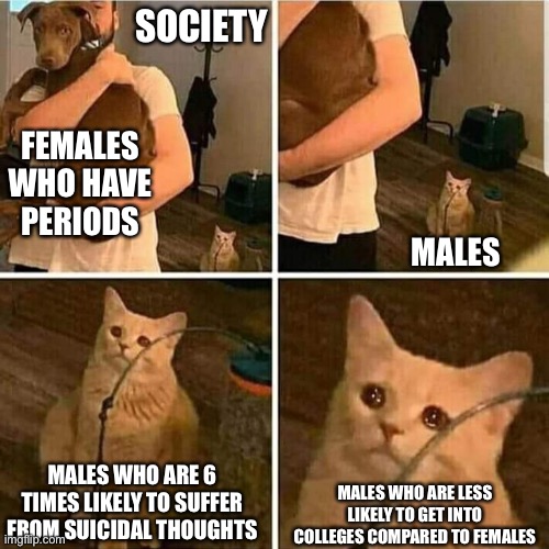 I saw an image talking about male struggles from the political stream now I can’t find it | SOCIETY; FEMALES WHO HAVE PERIODS; MALES; MALES WHO ARE 6 TIMES LIKELY TO SUFFER FROM SUICIDAL THOUGHTS; MALES WHO ARE LESS LIKELY TO GET INTO COLLEGES COMPARED TO FEMALES | image tagged in sad cat holding dog,feminism,female,male,logic | made w/ Imgflip meme maker