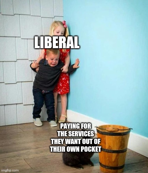 Children scared of rabbit | LIBERAL; PAYING FOR THE SERVICES THEY WANT OUT OF THEIR OWN POCKET | image tagged in children scared of rabbit | made w/ Imgflip meme maker