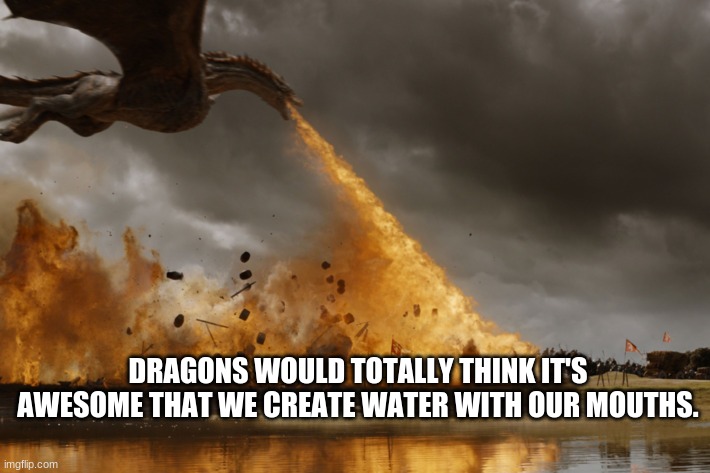 Game of thrones dragon oh yeah  | DRAGONS WOULD TOTALLY THINK IT'S AWESOME THAT WE CREATE WATER WITH OUR MOUTHS. | image tagged in game of thrones dragon oh yeah | made w/ Imgflip meme maker