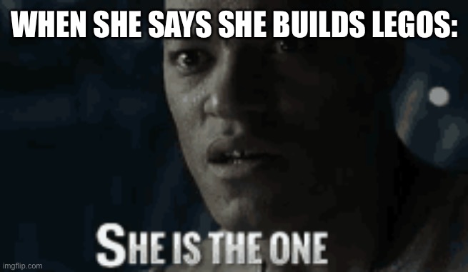 WHEN SHE SAYS SHE BUILDS LEGOS: | image tagged in memes,funny,matrix morpheus | made w/ Imgflip meme maker