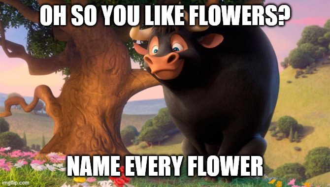 Ferdinand Flowers | OH SO YOU LIKE FLOWERS? NAME EVERY FLOWER | image tagged in ferdinand | made w/ Imgflip meme maker