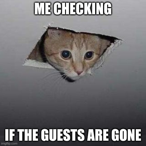 Ceiling Cat | ME CHECKING; IF THE GUESTS ARE GONE | image tagged in memes,ceiling cat | made w/ Imgflip meme maker