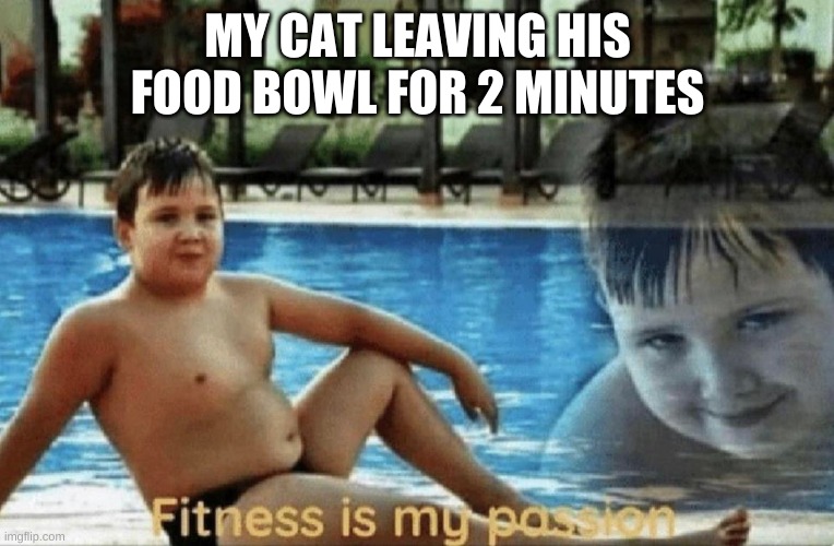 Fitness is my passion | MY CAT LEAVING HIS FOOD BOWL FOR 2 MINUTES | image tagged in fitness is my passion,cats | made w/ Imgflip meme maker
