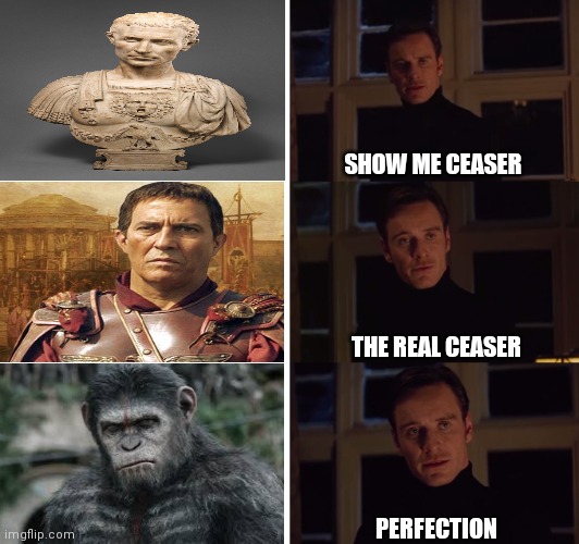 perfection | SHOW ME CEASER; THE REAL CEASER; PERFECTION | image tagged in julius caesar | made w/ Imgflip meme maker
