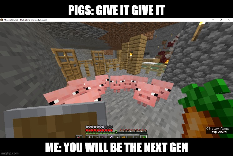 yum yum | image tagged in minecraft,pigs,i'm hungry | made w/ Imgflip meme maker