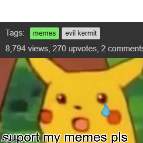 Suport my memes people :) | suport my memes pls | image tagged in memes,surprised pikachu | made w/ Imgflip meme maker