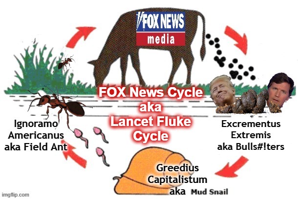 Fox News Cycle | FOX News Cycle
aka
Lancet Fluke
Cycle; Excrementus Extremis
aka Bulls#!ters | image tagged in never trump,trump unfit unqualified dangerous,gop,qanon,republicans,fox news | made w/ Imgflip meme maker