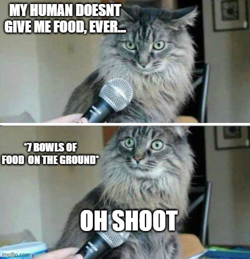 cat interview blank | MY HUMAN DOESNT GIVE ME FOOD, EVER... *7 BOWLS OF FOOD  ON THE GROUND*; OH SHOOT | image tagged in cat interview blank | made w/ Imgflip meme maker