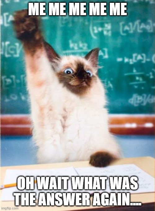 Overeager Student Cat | ME ME ME ME ME; OH WAIT WHAT WAS THE ANSWER AGAIN.... | image tagged in overeager student cat | made w/ Imgflip meme maker