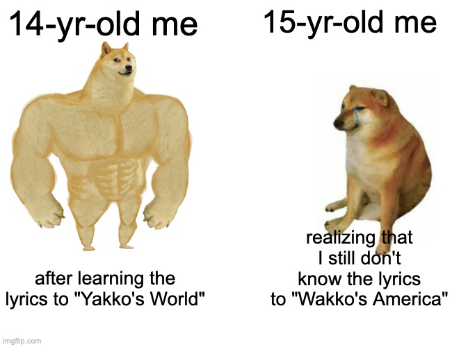 Sad fact of life: I never learned the lyrics to Wakko's america | 14-yr-old me; 15-yr-old me; realizing that I still don't know the lyrics to "Wakko's America"; after learning the lyrics to "Yakko's World" | image tagged in memes,buff doge vs cheems,sad but true,tragic,animaniacs,song lyrics | made w/ Imgflip meme maker