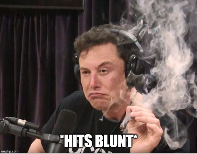 Elon Musk smoking a joint | *HITS BLUNT* | image tagged in elon musk smoking a joint | made w/ Imgflip meme maker