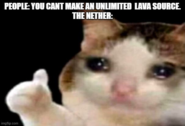 People: you cant make an unlimited  lava source. The nether: | PEOPLE: YOU CANT MAKE AN UNLIMITED  LAVA SOURCE.
THE NETHER: | image tagged in sad cat thumbs up | made w/ Imgflip meme maker