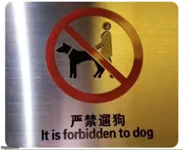 IT IS FORBIDDEN TO DOG. | image tagged in it is forbidden to dog | made w/ Imgflip meme maker