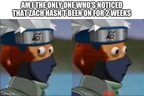 Kakashi Monkey puppet | AM I THE ONLY ONE WHO'S NOTICED THAT ZACH HASN'T BEEN ON FOR 2 WEEKS | image tagged in kakashi monkey puppet | made w/ Imgflip meme maker