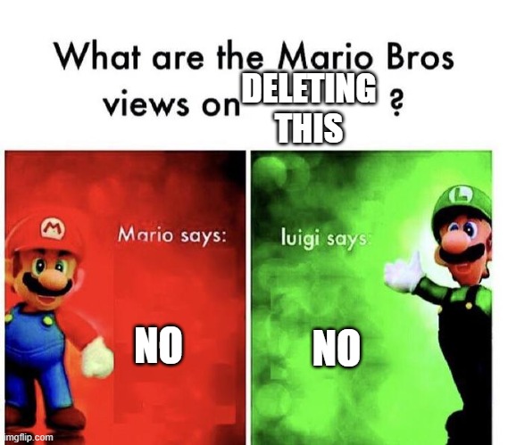 Mario Bros Views | NO NO DELETING THIS | image tagged in mario bros views | made w/ Imgflip meme maker