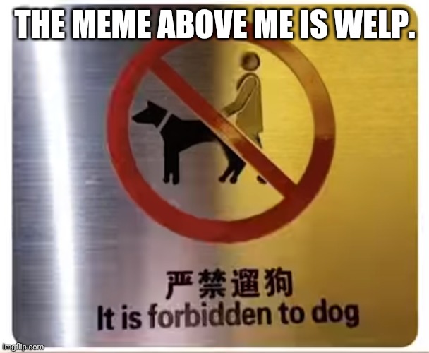 It is forbidden to dog | THE MEME ABOVE ME IS WELP. | image tagged in it is forbidden to dog | made w/ Imgflip meme maker