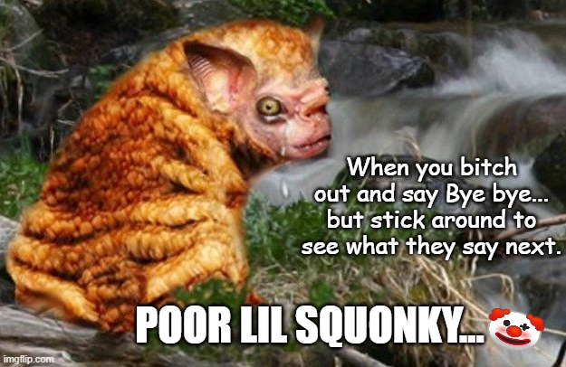 When you bitch out and say Bye bye... but stick around to see what they say next. POOR LIL SQUONKY... | made w/ Imgflip meme maker