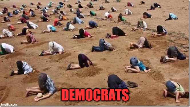 Head in sand | DEMOCRATS | image tagged in head in sand | made w/ Imgflip meme maker