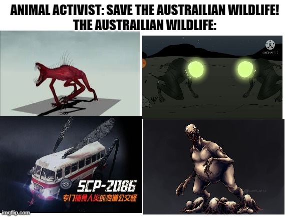 I don't wanna be saving these | ANIMAL ACTIVIST: SAVE THE AUSTRAILIAN WILDLIFE!
THE AUSTRAILIAN WILDLIFE: | image tagged in blank white template | made w/ Imgflip meme maker