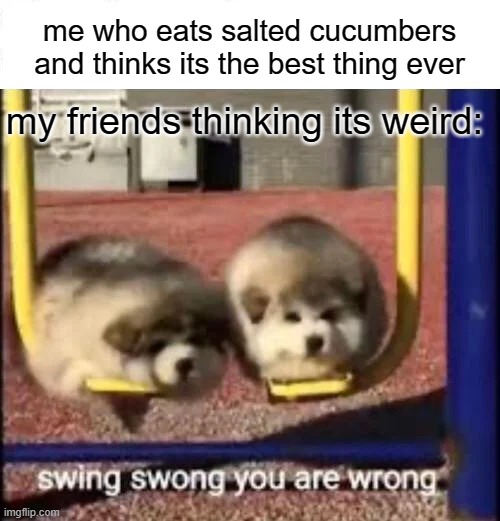 whyyyyyyyyyyyyyyy | me who eats salted cucumbers and thinks its the best thing ever; my friends thinking its weird: | image tagged in swing swong you are wrong | made w/ Imgflip meme maker