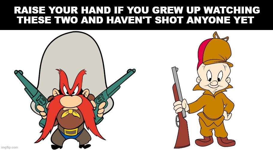 Raise your hand | RAISE YOUR HAND IF YOU GREW UP WATCHING THESE TWO AND HAVEN'T SHOT ANYONE YET | image tagged in guns | made w/ Imgflip meme maker